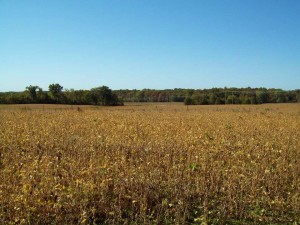 44.400 ac. m/l. - Mennemeyer Rd, Troy