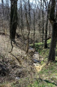 Creek/Woods For Hunting