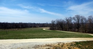 View From Front Porch