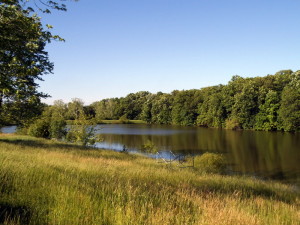 Gorgeous Lake