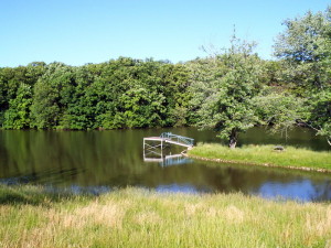 Lake Island