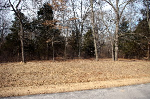 Lot 9 Addison Ln., Troy, MO