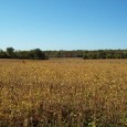 MLS#12060888    PRICE REDUCED!   $310,800   (SOLD!!) Location, Location!   Here is some beautiful rolling acreage just at the outskirts of Troy with limitless possibilities on 44.4 Acres m/l.    Property […]