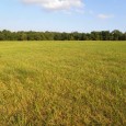 MLS#12036746     $424,387   (SOLD!!) Gorgeous 52.04 Acre Parcel on BLACKTOP in Southern Lincoln County!   This beautiful gently sloping acreage is fenced on 3 sides and is in permanent pasture […]