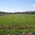 MLS# 13023481      $299,900 PERFECT COMBINATION ACREAGE WITH BLACKTOP FRONTAGE ON 2 SIDES!!  (HWY W & HARRELL RD)  This beautiful 60 acres m/l has approx. 25 acres of tillable creek bottom, […]