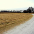 MLS # 14014537      PRICE REDUCED to $28,900    (SOLD!!!) Gorgeous building lot in the heart of farm country in Lincoln County!  Build that dream home and enjoy the peace and tranquility […]