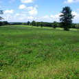 MLS#16052280      $35,900    SOLD!!! GORGEOUS BUILDING LOT IN THE HEART OF FARM COUNTRY IN LINCOLN COUNTY!  Here is the perfect spot to build that home in the country […]