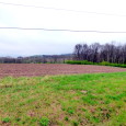 MLS#17027218    $405,000   SOLD!!! SUPER COMBINATION ACREAGE…79.559 acres m/l gently rolling, with good tillable soil, wooded acreage and pasture ground.  Property has 2 fantastic lakesites and great homesites, along with […]