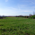 35+ ACRES IN SOUTHEASTERN LINCOLN COUNTY TO BE SOLD IN 2 TRACTS – REAL ESTATE TO BE SOLD SATURDAY, JUNE 3, 2017, Beginning 11:00 A.M.  LOCATION:  Pieper Road, Winfield, Missouri […]