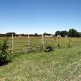 MLS# 17051892             $32,890     SOLD!!   5.06 ACRES OF COUNTRY LIVING MINUTES FROM TOWN!  Gorgeous fenced level lot makes great use for pasture unless you […]