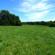 ABSOLUTE REAL ESTATE AUCTION –  24 ACRES M/L IN SOUTHEASTERN LINCOLN COUNTY TO BE SOLD SATURDAY, AUGUST 19, 2017, Beginning 11:00 A.M.  LOCATION:  MEIER ROAD, OLD MONROE, MO 63369 OPEN HOUSE […]