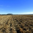 SOLD!!!  REAL ESTATE FARM AUCTION –  118.95 ACRES M/L IN LINCOLN COUNTY TO BE SOLD SATURDAY, JANUARY 27th, 2018, Beginning 11:00 A.M.   As per Farm Services Agency, this farm property consists of approximately […]