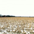 ABSOLUTE REAL ESTATE FARM AUCTION –  HOME, OUTBUILDINGS AND          83 ACRES m/l TO BE SOLD SATURDAY, FEBRUARY 10, 2018, Beginning 11:00 A.M.   LOCATION:  1733 Leitman Rd.,  Moscow Mills, […]