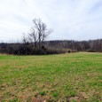 MLS# 19023977      $216,400.50    SOLD!!!           37.965 ACRES OPEN & WOODED TRACT WITH CREEK, CLOSE TO THE BLACKTOP!  PROPERTY HAS NEW SURVEY.  THIS VERSATILE TRACT HAS […]