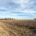 MLS #24007190 $262,901 HERE IT IS…43.89 ACRES OF COMBINATION INCOME PRODUCING ACREAGE with approximately 975’ of blacktop Hwy 3 road frontage, along with gravel county road frontage on south side […]
