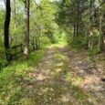 MLS# 24026461 $499,999 LOCATION SECOND TO NONE! This 35.38 acre mm/l parcel is a hunting paradise with State Park bordering on the north and bordered on the south by Sugar […]