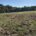MLS # 26066310 $990,000 COMING SOON!!! LOCATION, LOCATION, LOCATION!! Seldom do you find a tract of land this size in this location! This 16.22 Acre open and wooded tract with [&hellip;]